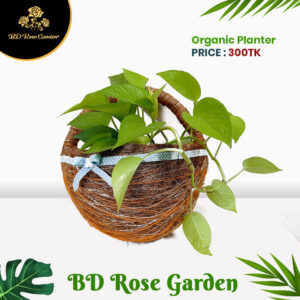 Organic Jute Planter