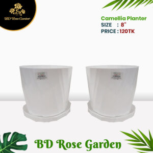 Plastic Camellia Planter 8" Inch