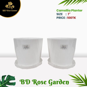 Plastic Camellia Planter 7" Inch