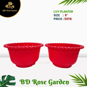 IVY Planter 9" Inch
